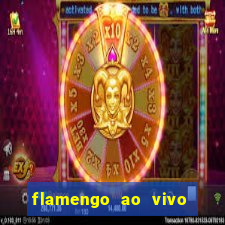 flamengo ao vivo hd play