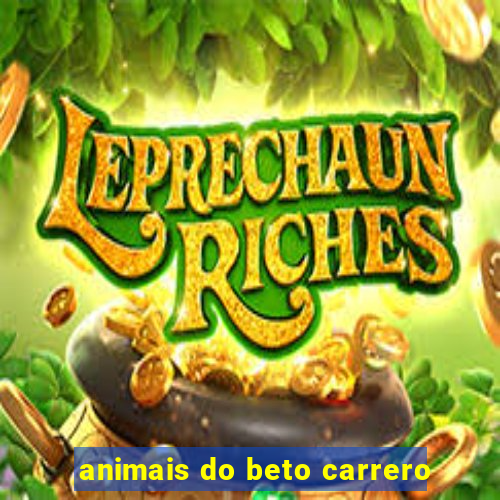 animais do beto carrero