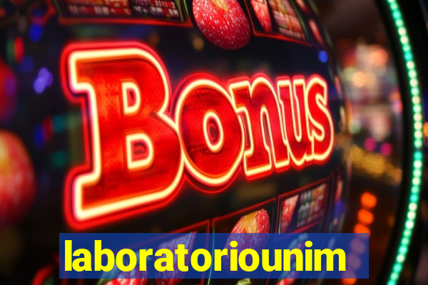 laboratoriounimedblumenau.com.br