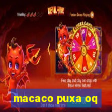 macaco puxa oq