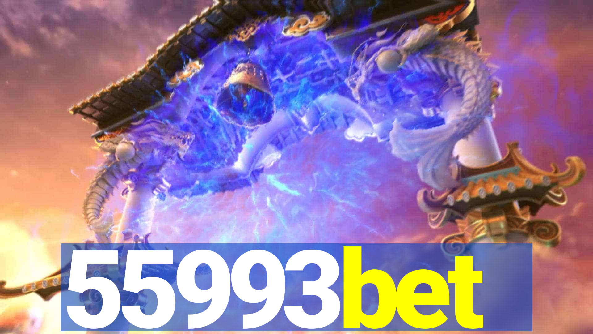 55993bet